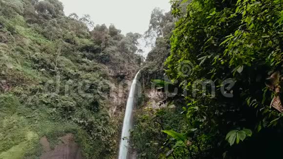 史诗瀑布自然背景慢动作丛林中的热带雨林有着强大的瀑布视频的预览图