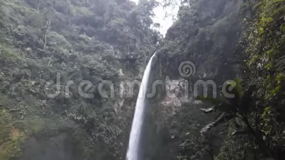 史诗瀑布自然背景全高清丛林中的热带雨林有着强大的瀑布视频的预览图