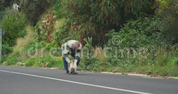 老人带着他的狗在街上视频的预览图