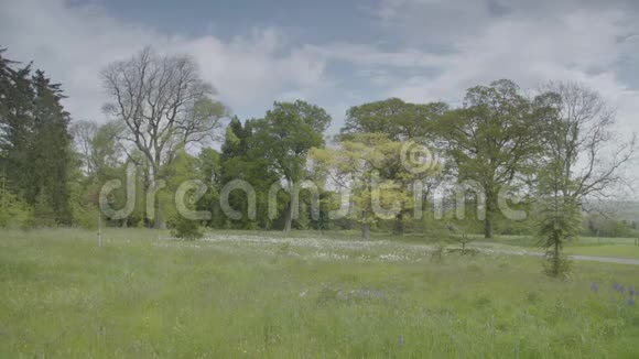 靠近小径的树木和田野视频的预览图