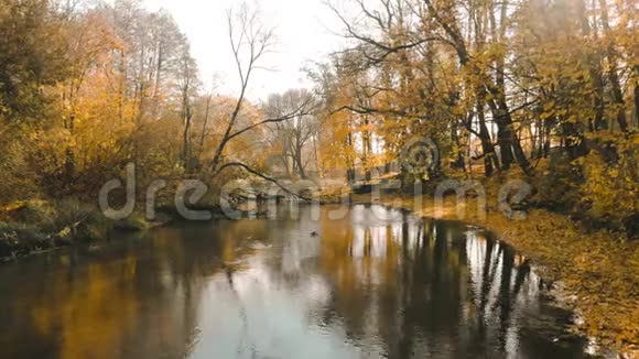 秋天飞越河视频的预览图