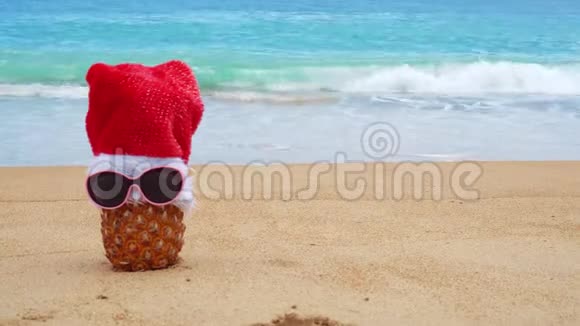在热带海滩上菠萝戴着太阳镜和圣诞老人的帽子新年和圣诞节的概念新年快乐视频的预览图