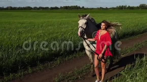 年轻的美女带着白马在绿茵场上散步视频的预览图