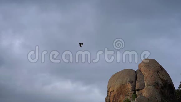 鹰在岩石上翱翔视频的预览图
