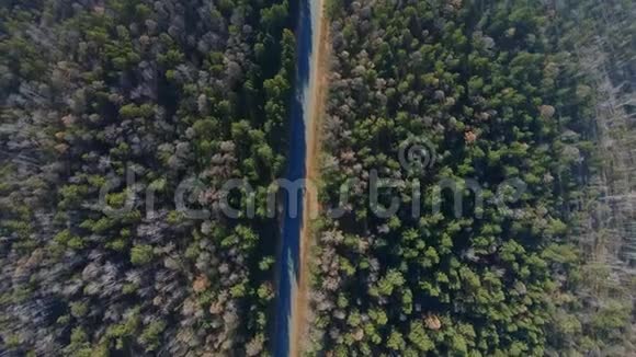 穿过森林的道路的鸟瞰图视频的预览图