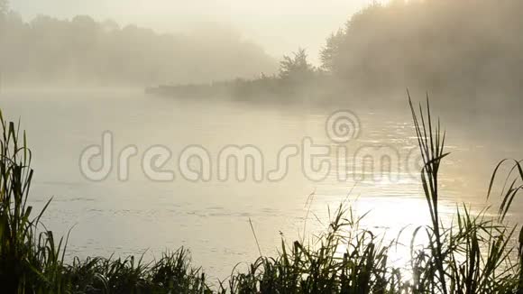 清晨日出倒影雾霭水流河水视频的预览图