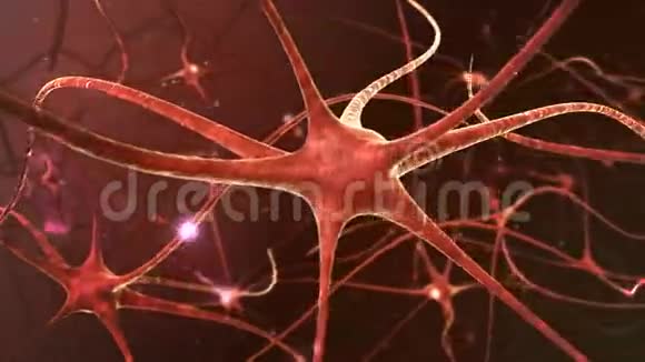 神经元网络视频的预览图