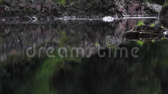 鲑鱼鳟鱼沿着平静的河流跳跃发现角莫莱郡苏格兰视频的预览图