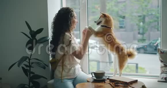 快乐的年轻女子和宠物狗在咖啡馆的窗台上跳舞玩得很开心视频的预览图