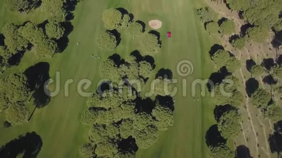 一辆拖拉机带着割草机在高尔夫球场上工作视频的预览图