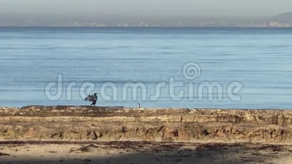 这是阿雷纳海滩视频的预览图