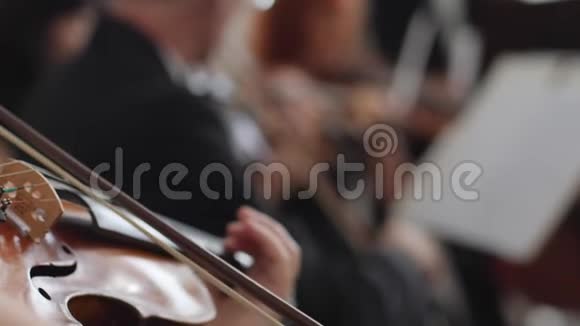 现场音乐会女人在模糊的背景上演奏木制小提琴古典音乐视频的预览图