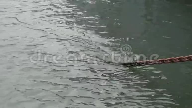 钢链锚线在水中消失视频的预览图
