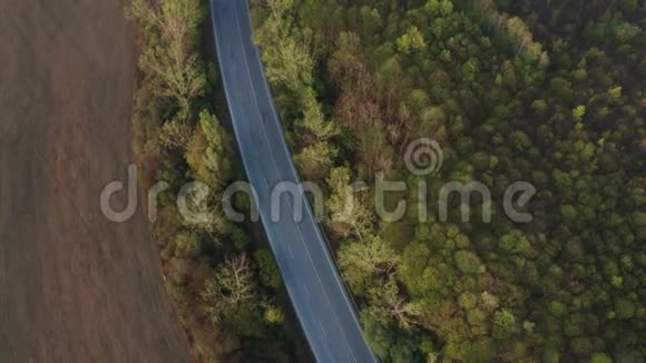 秋天的森林有道路和汽车视频的预览图