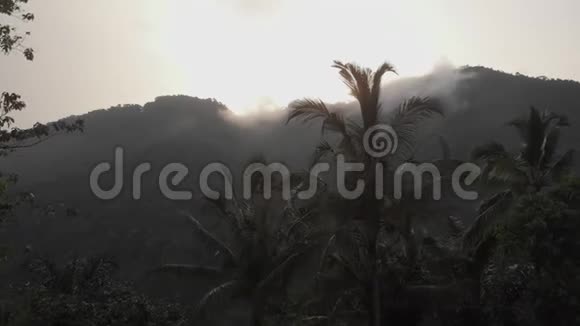 丛林上空日落视频的预览图