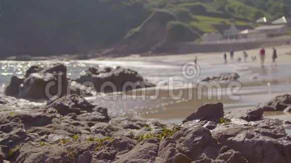 带着人和狗的沙湾视频的预览图