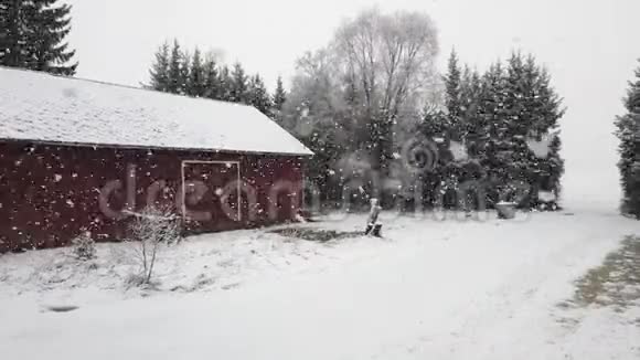 大雪纷飞视频的预览图