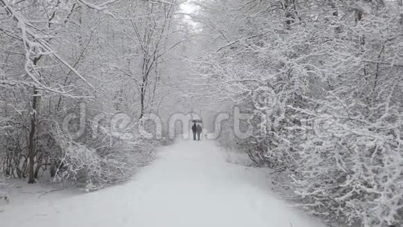 一对冬天在公园散步视频的预览图