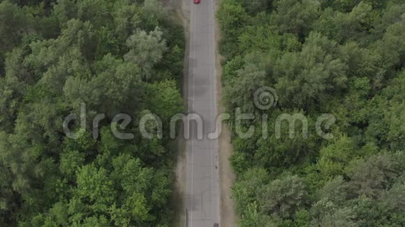 红色汽车在森林里行驶视频的预览图