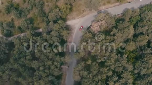 红色汽车在森林里行驶视频的预览图