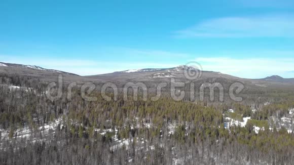 冬山全景视频的预览图