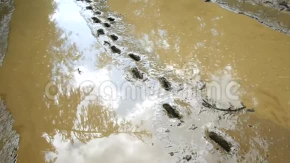 泥里的脚印视频的预览图