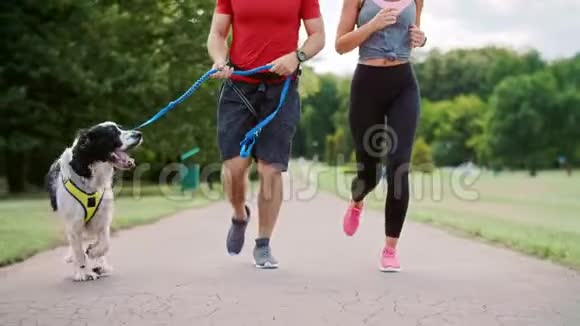 夫妻和狗跑的一部分视频的预览图