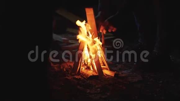 夜晚柴火的篝火视频的预览图