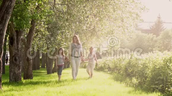 母亲和女儿们沿着苹果树的林荫道散步小女孩牵着妈妈的手视频的预览图