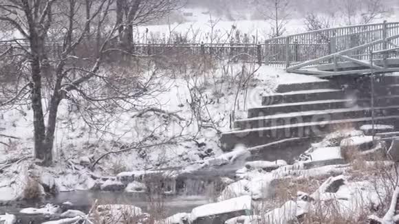 公园里下雪的景色视频的预览图
