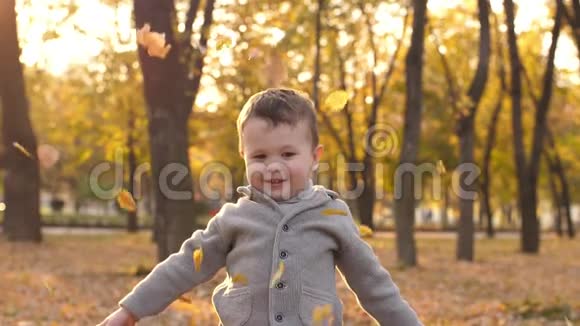 快乐的男孩在飞翔的叶子视频的预览图