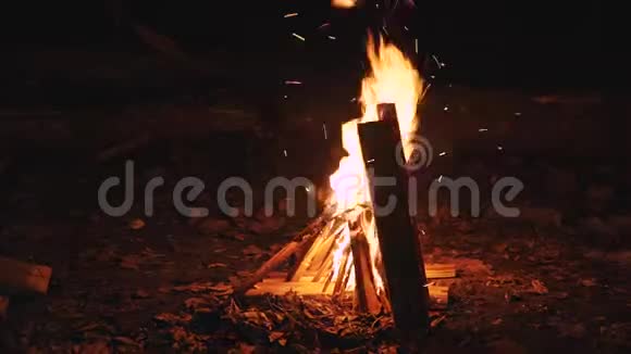 夜晚柴火的篝火视频的预览图