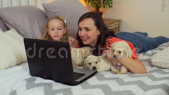 与床上可爱的小狗视频通话视频的预览图