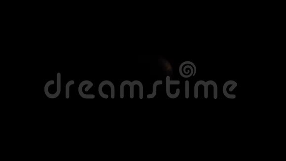 夜晚的满月视频的预览图