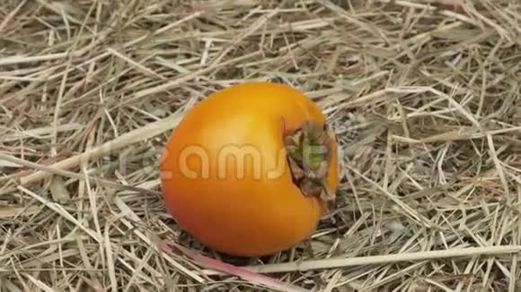 干草上的有机柿子视频的预览图