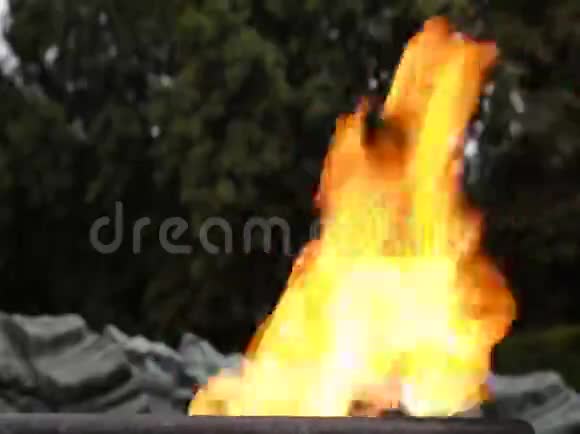 永恒的火焰打开火焰视频的预览图