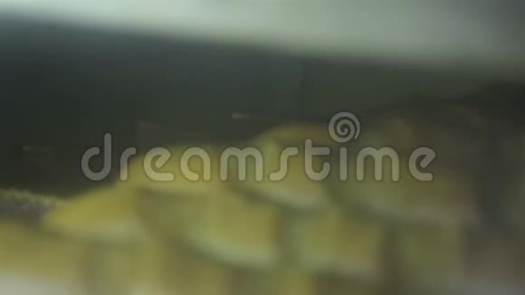 在烤箱里烤白面包视频的预览图