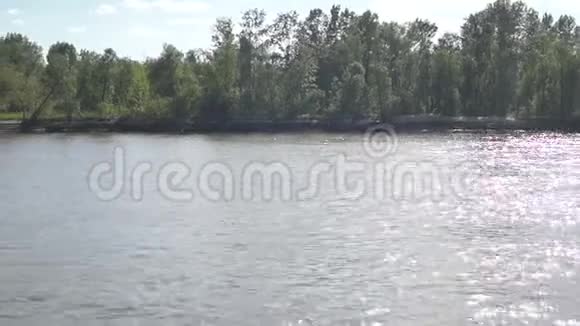 河岸上的树视频的预览图