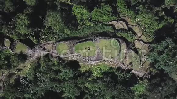 头顶上升无人驾驶飞机俯瞰迷失之城哥伦比亚考古遗址视频的预览图