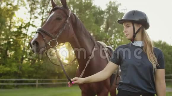 与马的美妙时刻视频的预览图