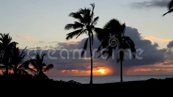 带棕榈树的热带日落视频的预览图