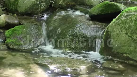 河水漫过苔藓覆盖的岩石视频的预览图