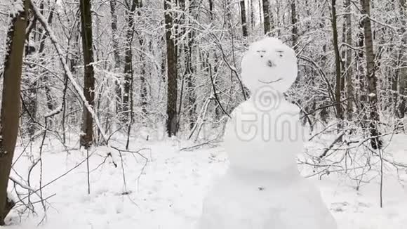 冬天森林里的雪人视频的预览图
