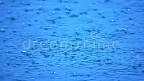 落在湖上的雨滴视频的预览图