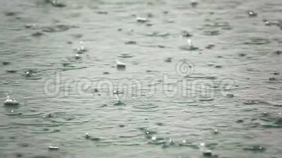 落在湖上的雨滴视频的预览图
