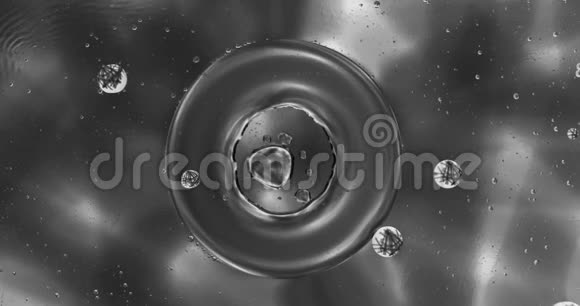 液体中气泡的运动视频的预览图