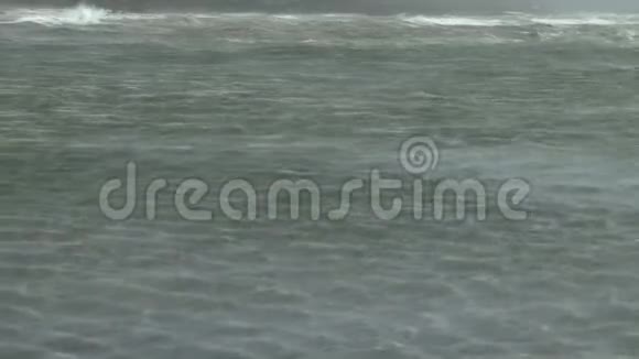 狂野的海潮和风视频的预览图