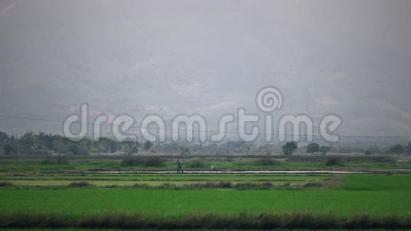 农民在稻田里工作视频的预览图