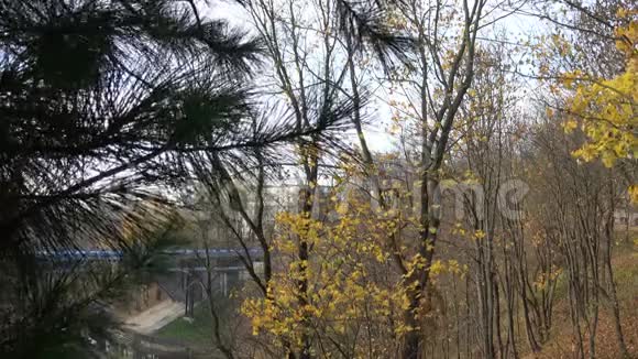 秋天在植物园里视频的预览图