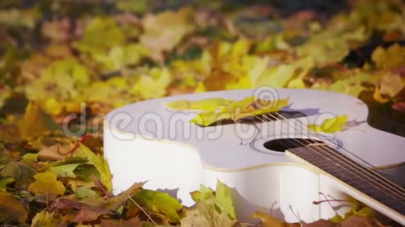 秋园吉他视频的预览图